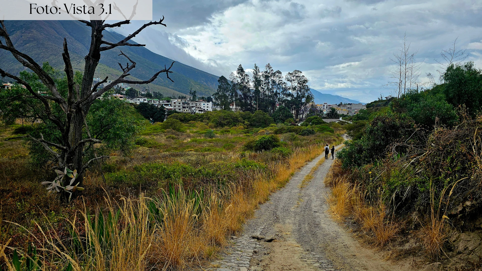 ESPECTACULAR TERRENO PARA CAMPOSANTO CEMENTERIO POMASQUI — imagen 2