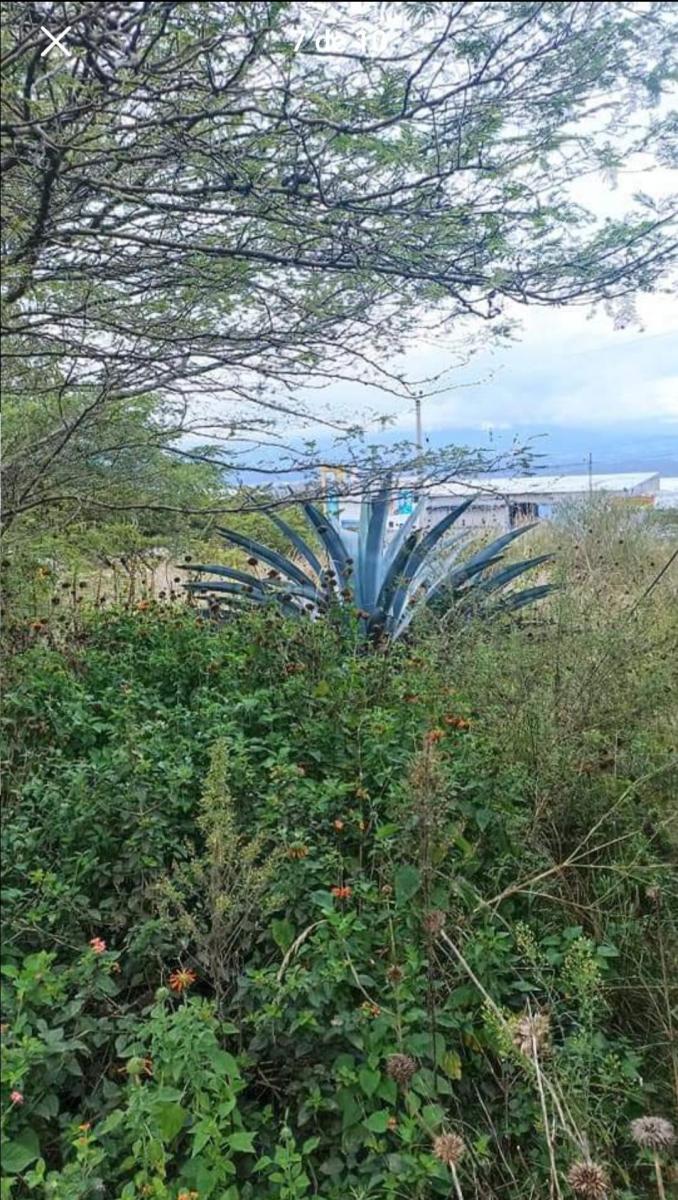 En Venta Terreno con Dos Frentes, en Calderon, por Peaje de Oyacoto — imagen 2