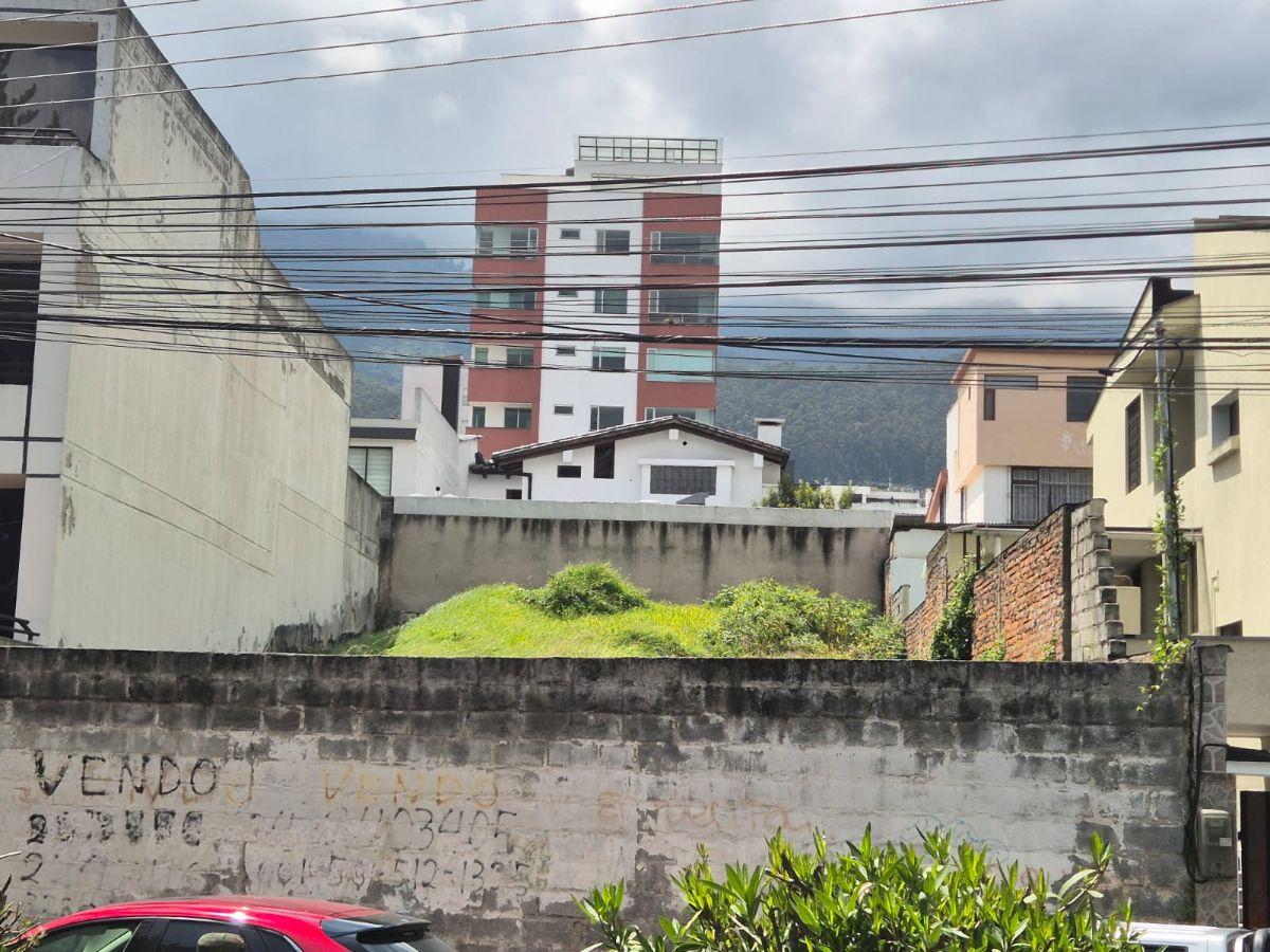 Único y Espectacular Terreno 307 m² Urbanizacion Privada Pinar Bajo — imagen 6