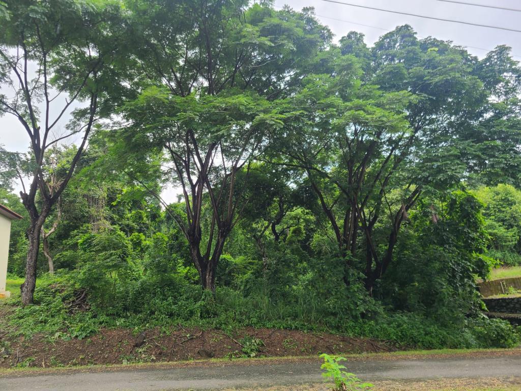 Terreno Esquinero de Venta en La Urbanización Lago de Capeira, 720 m². Guayas — imagen 10