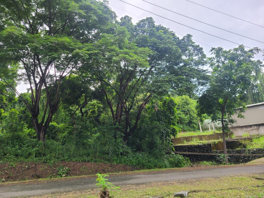 Terreno Esquinero de Venta en La Urbanización Lago de Capeira, 720 m². Guayas — imagen 9