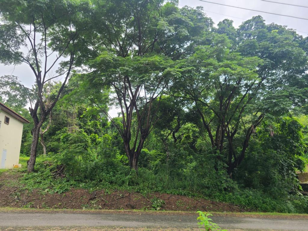 Terreno Esquinero de Venta en La Urbanización Lago de Capeira, 720 m². Guayas — imagen 8