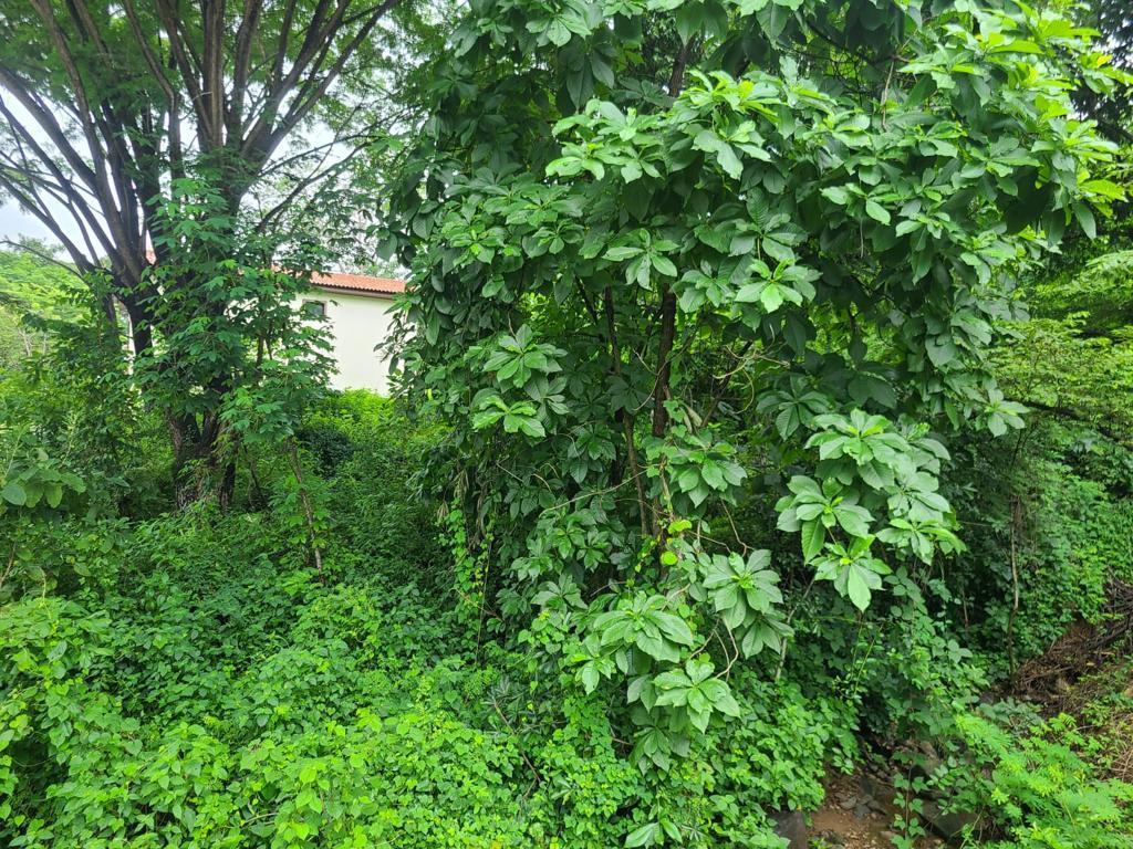 Terreno Esquinero de Venta en La Urbanización Lago de Capeira, 720 m². Guayas — imagen 7