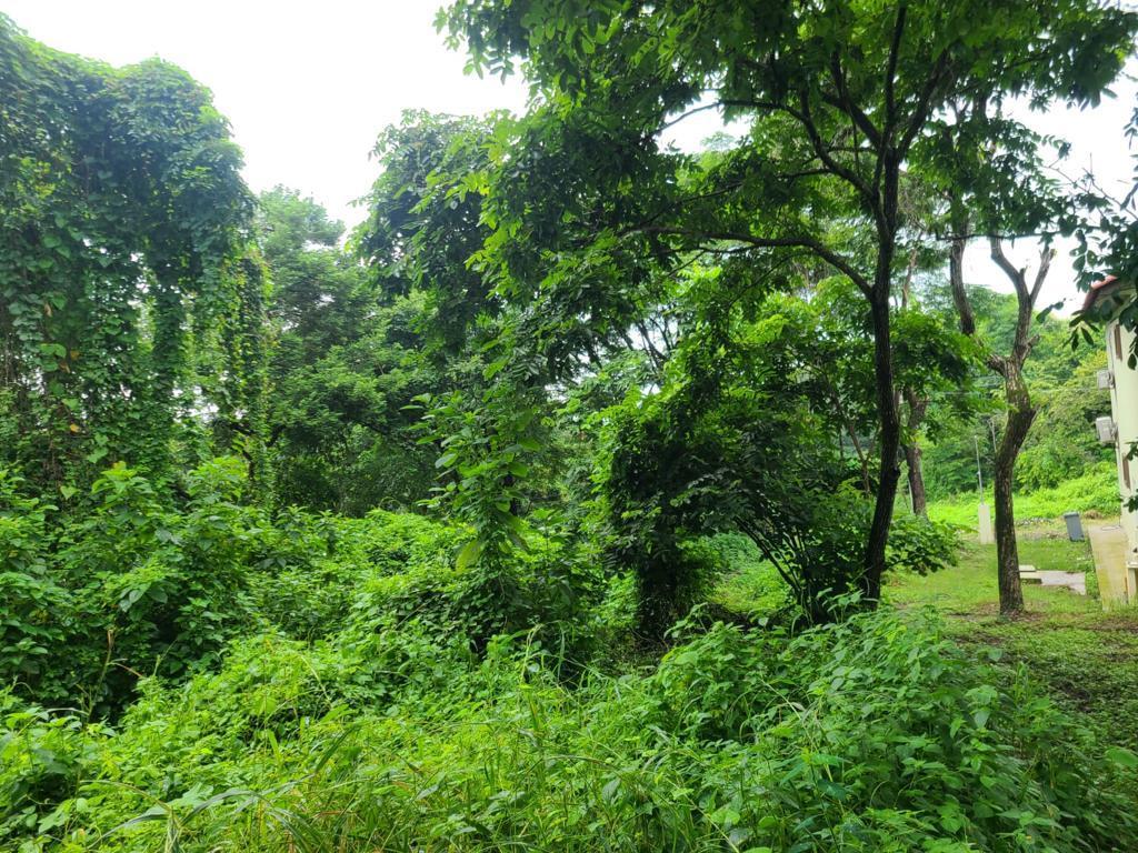 Terreno Esquinero de Venta en La Urbanización Lago de Capeira, 720 m². Guayas — imagen 6