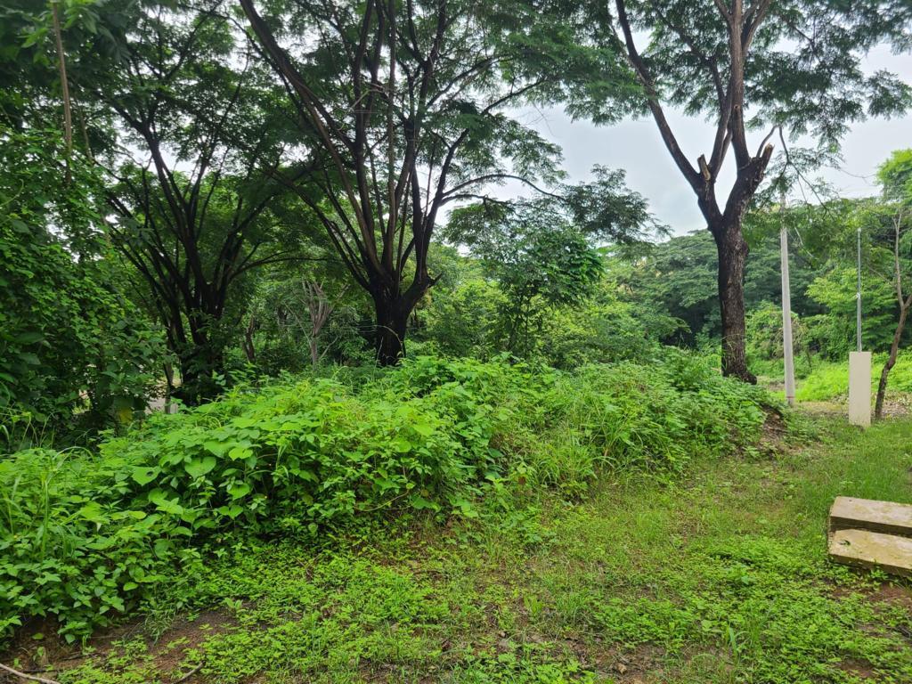 Terreno Esquinero de Venta en La Urbanización Lago de Capeira, 720 m². Guayas — imagen 2