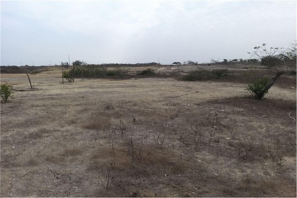 Terreno de Venta en Manta Zona Sur Santa Marianita L/f, Manabí — imagen 6