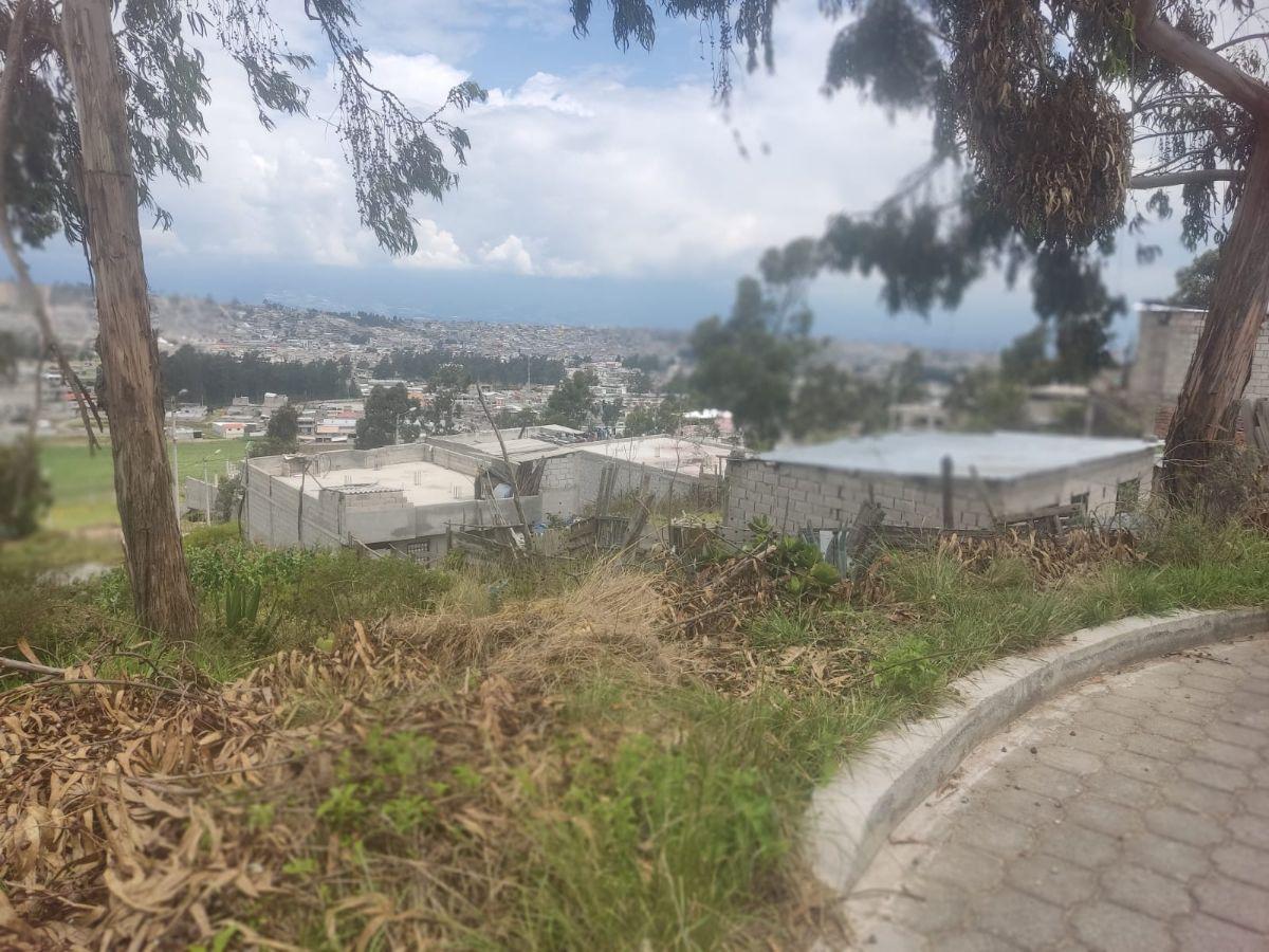 Venta de Terreno en Calderón – Sector La Tola — imagen 8