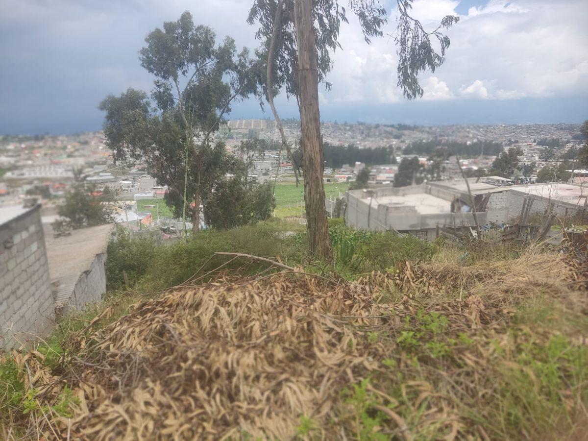 Venta de Terreno en Calderón – Sector La Tola — imagen 7