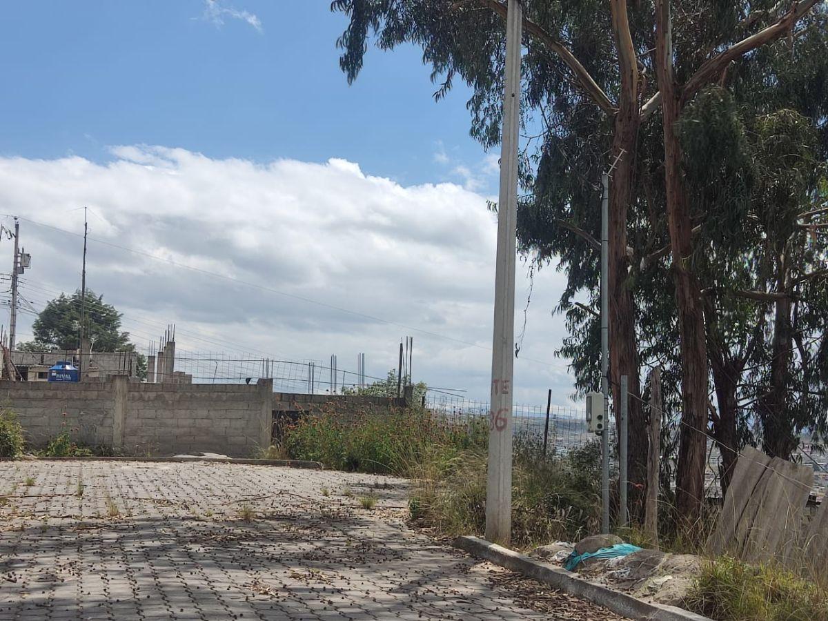 Venta de Terreno en Calderón – Sector La Tola — imagen 6