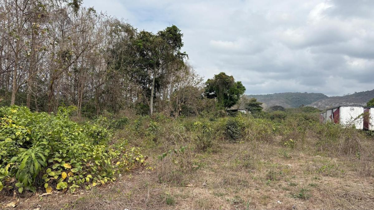 Venta de Terreno Comercial Km 19.5 Via a La Costa, Chrc, Guayas — imagen 6