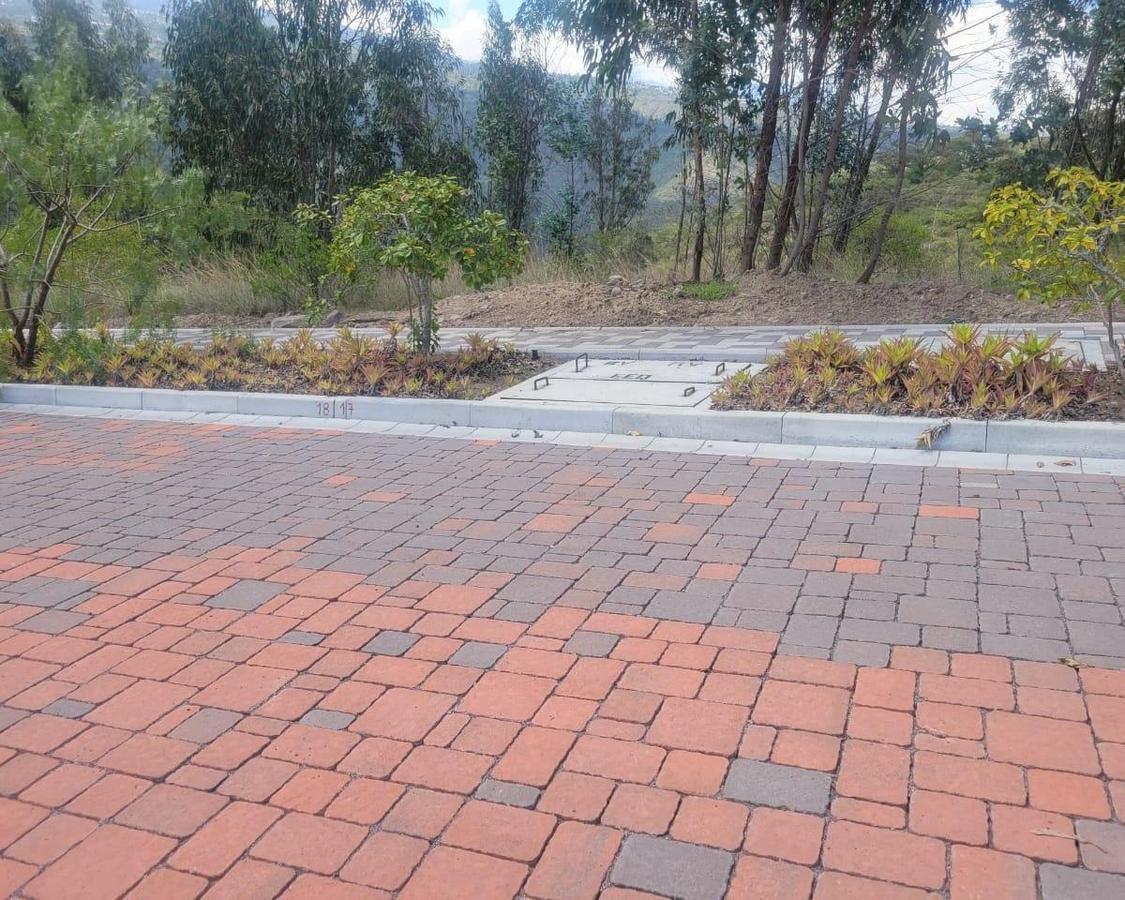 Hermoso Lote con Vista y Guardíania - Tumbaco — imagen 7
