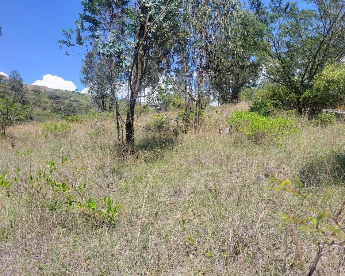 Hermoso Lote con Vista y Guardíania - Tumbaco — imagen 6