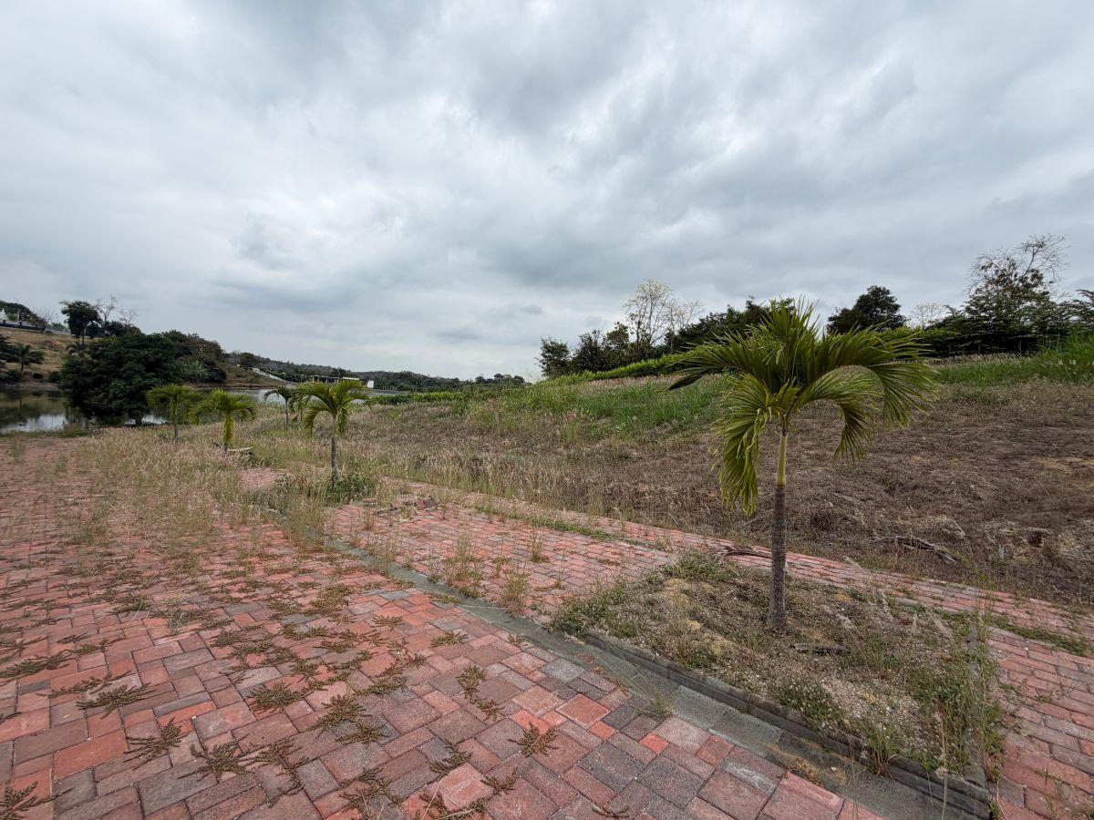 Terreno de Venta Vía a La Costa, Lomas del Bosque, Guayas — imagen 7