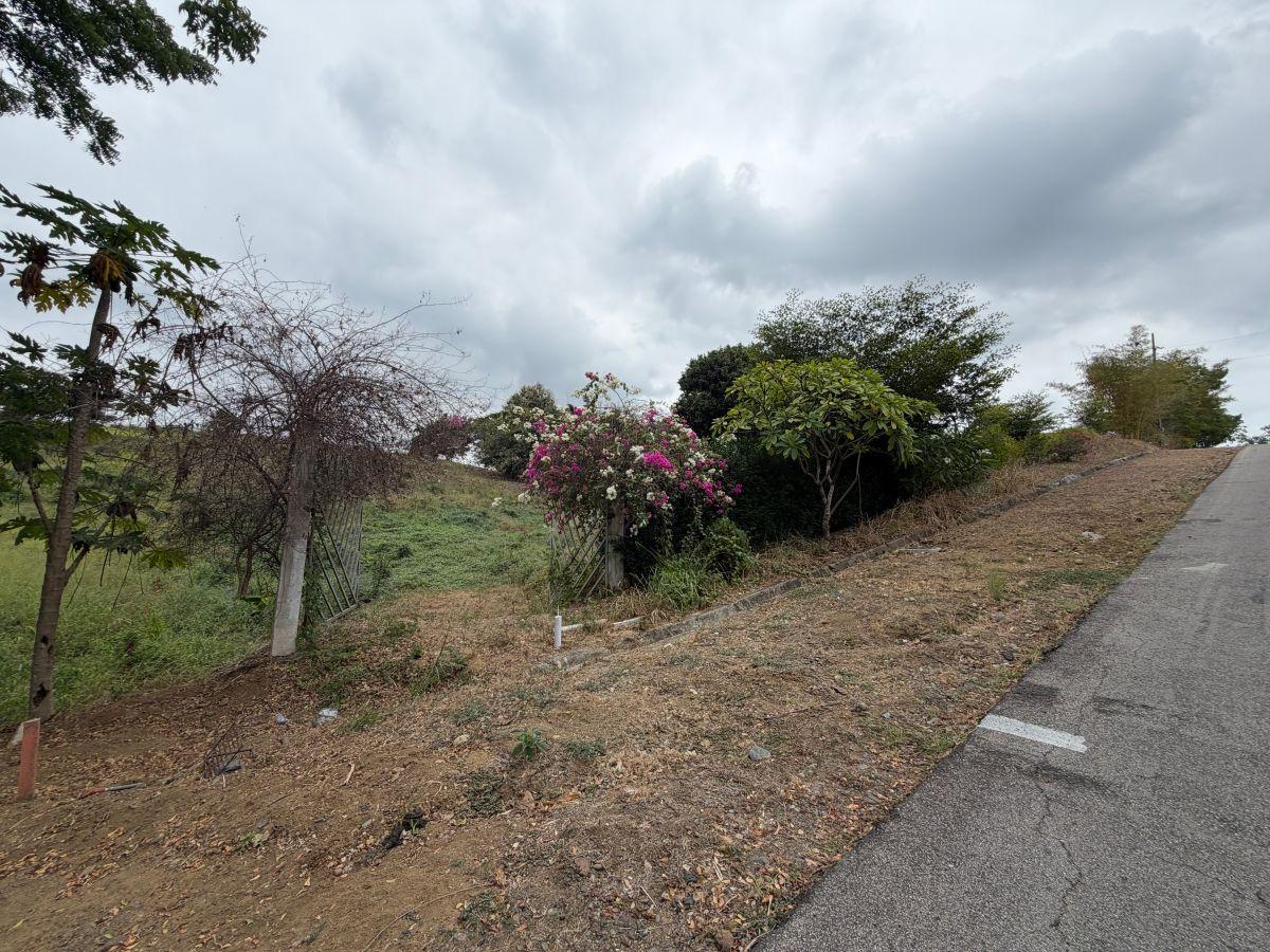 Terreno de Venta Vía a La Costa, Lomas del Bosque, Guayas — imagen 6