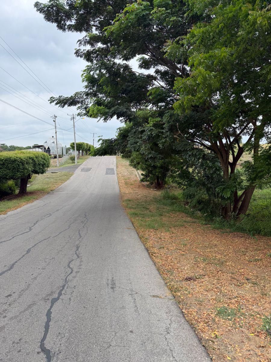 Terreno de Venta Vía a La Costa, Lomas del Bosque, Guayas — imagen 5