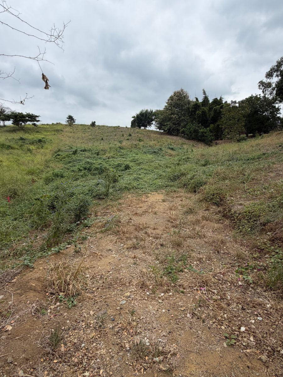 Terreno de Venta Vía a La Costa, Lomas del Bosque, Guayas — imagen 4