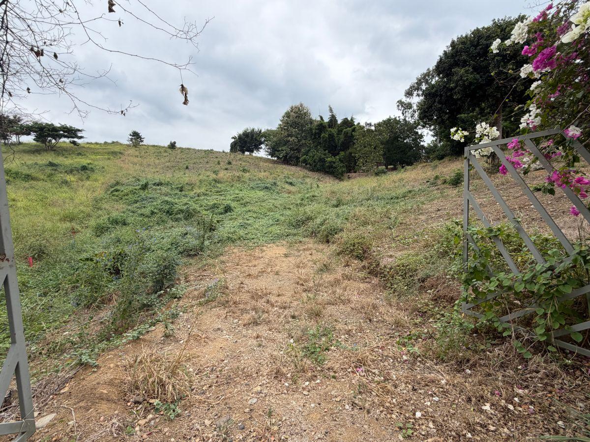 Terreno de Venta Vía a La Costa, Lomas del Bosque, Guayas — imagen 2