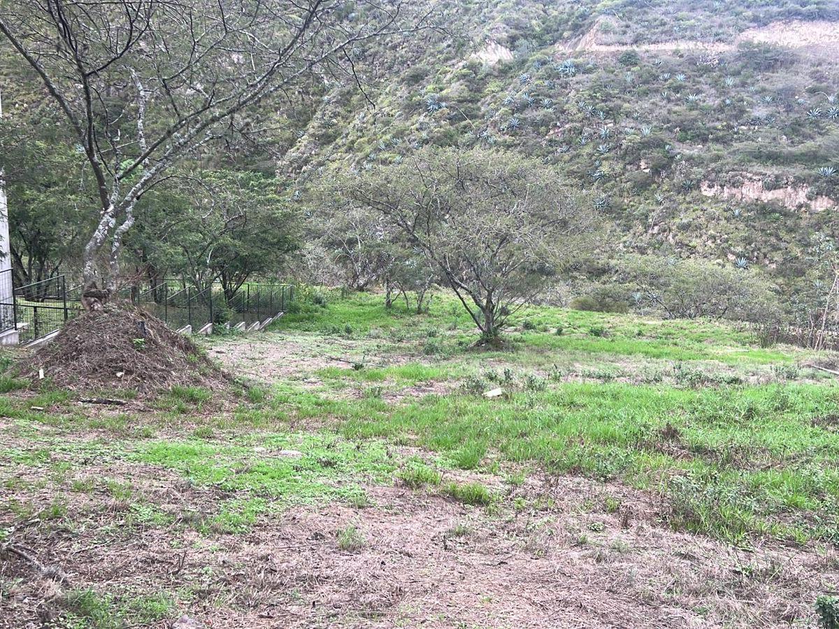 Cumbaya Terreno en Venta Sector Colegio Menor en Urbanizacion Privada — imagen 7