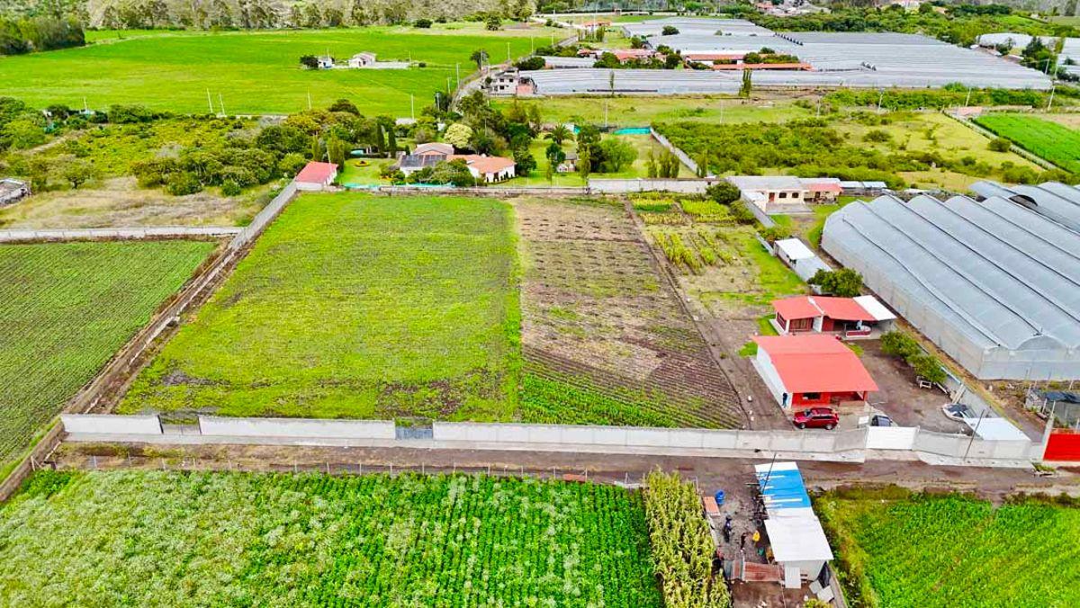 Terreno en Venta en Atuntaqui - Lotes de 2.256 m² Sector Ontañon, Imbabura — imagen 5