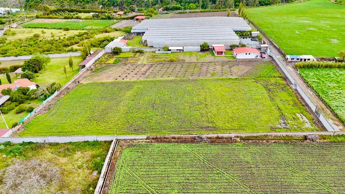 Terreno en Venta en Atuntaqui - Lotes de 2.256 m² Sector Ontañon, Imbabura — imagen 4