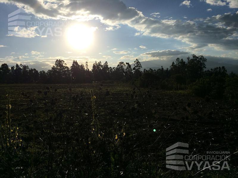 Tababela - Cerca Al Aeropuerto Mariscal Sucre, Terreno de 1 Has en Venta — imagen 6