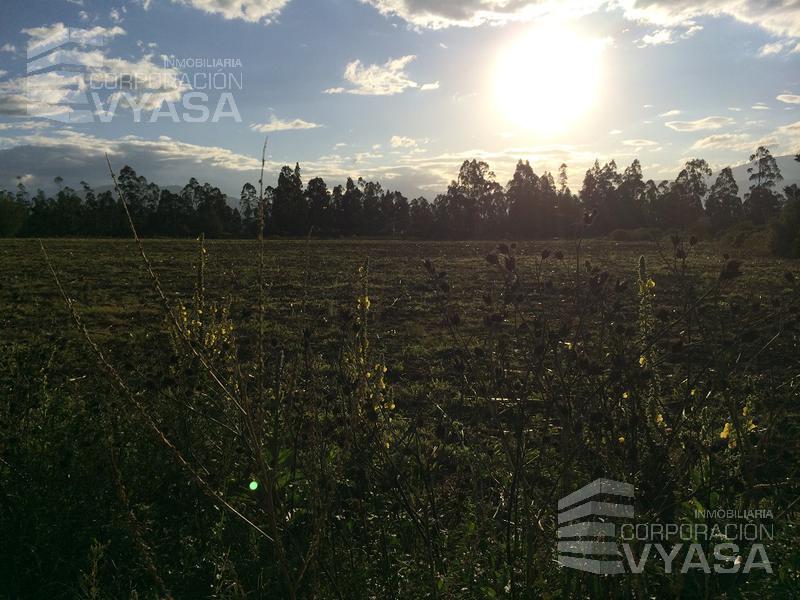 Tababela - Cerca Al Aeropuerto Mariscal Sucre, Terreno de 1 Has en Venta — imagen 5
