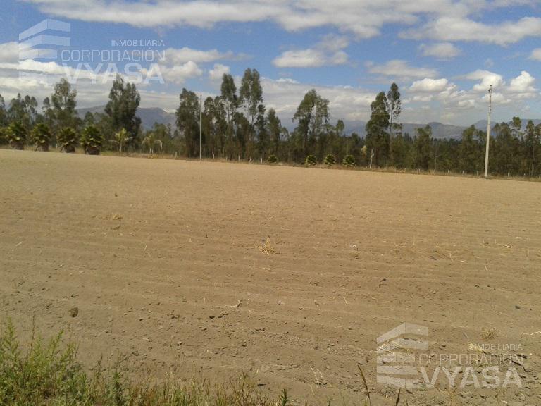 Tababela - Cerca Al Aeropuerto Mariscal Sucre, Terreno de 1 Has en Venta — imagen 2