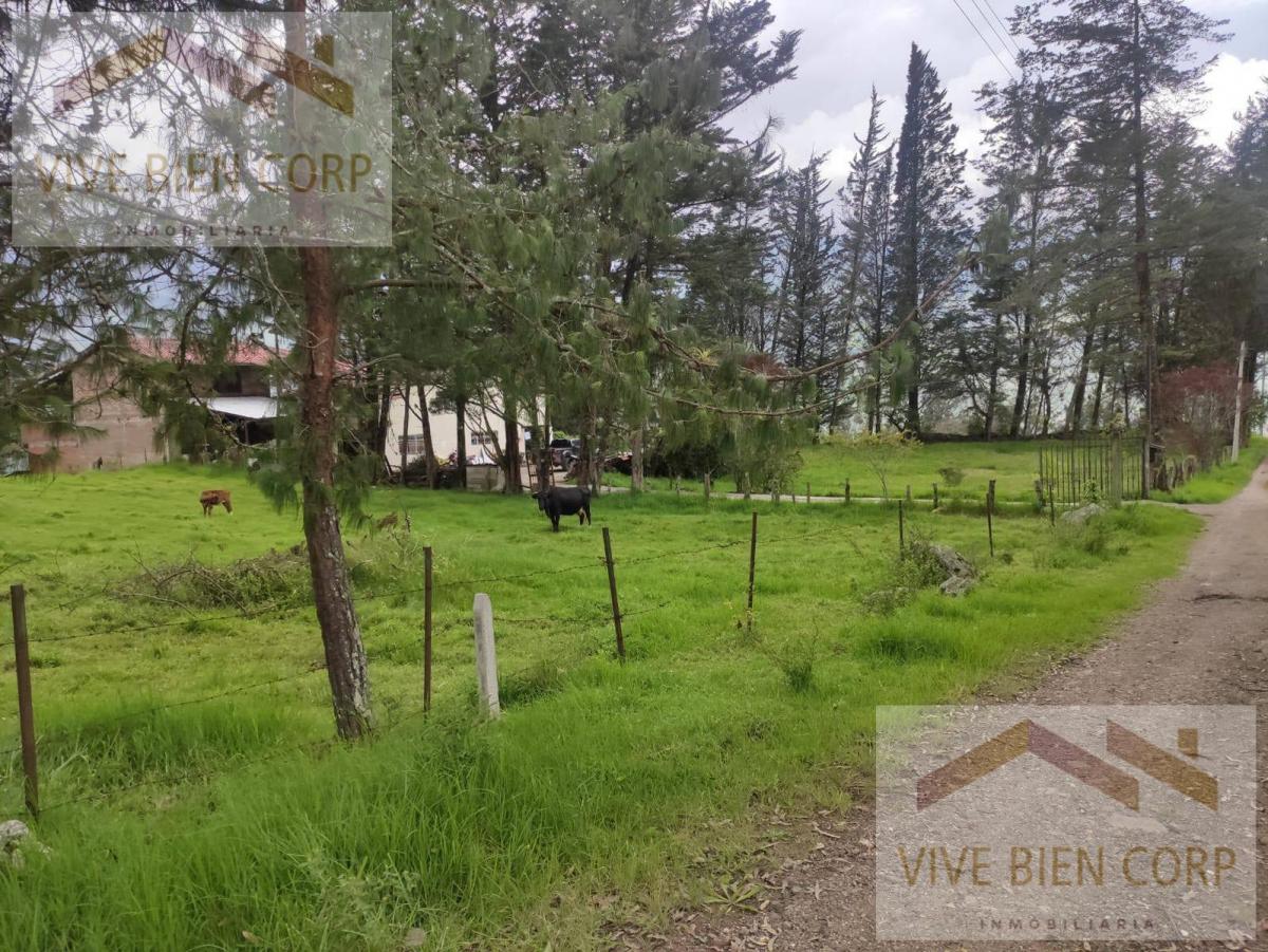 Terrenos de Venta en Azuay Zona Residencial, Sector Cachiloma, Azuay — imagen 4