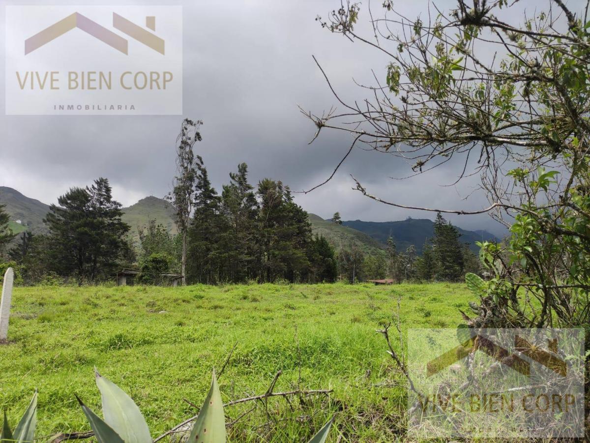 Terrenos de Venta en Azuay Zona Residencial, Sector Cachiloma, Azuay — imagen 3