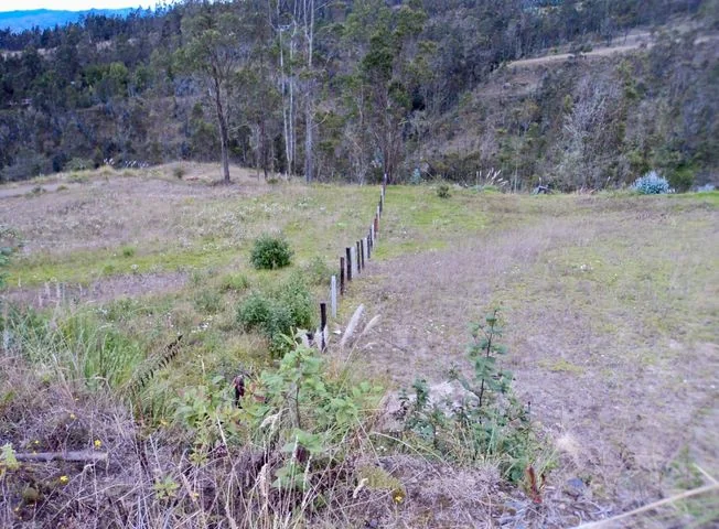 Terreno en venta en Deleg — imagen 1