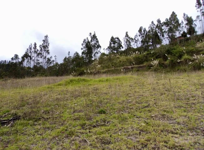 Terreno en venta en Deleg — imagen 3