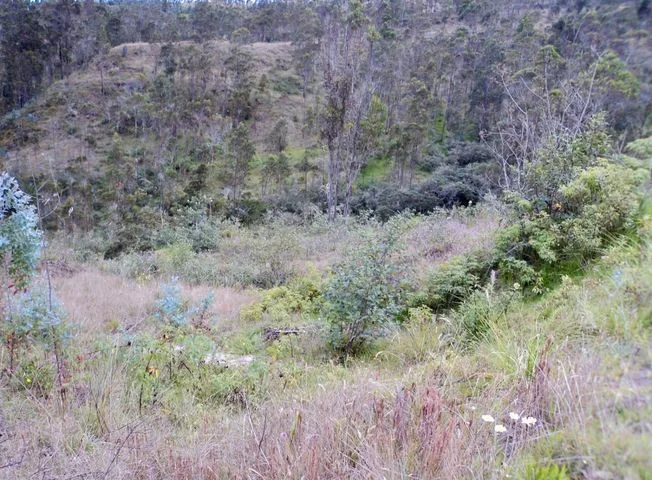 Terreno en venta en Deleg — imagen 2