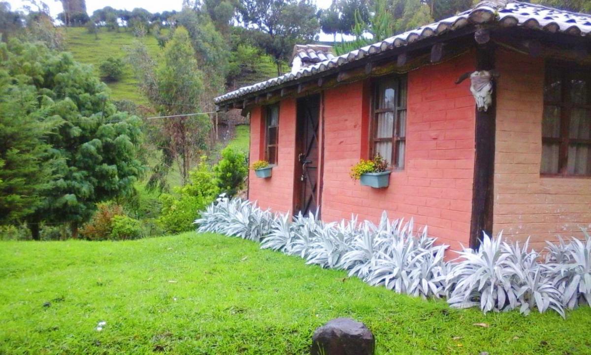 Quinta en Venta en Píntag — imagen 10