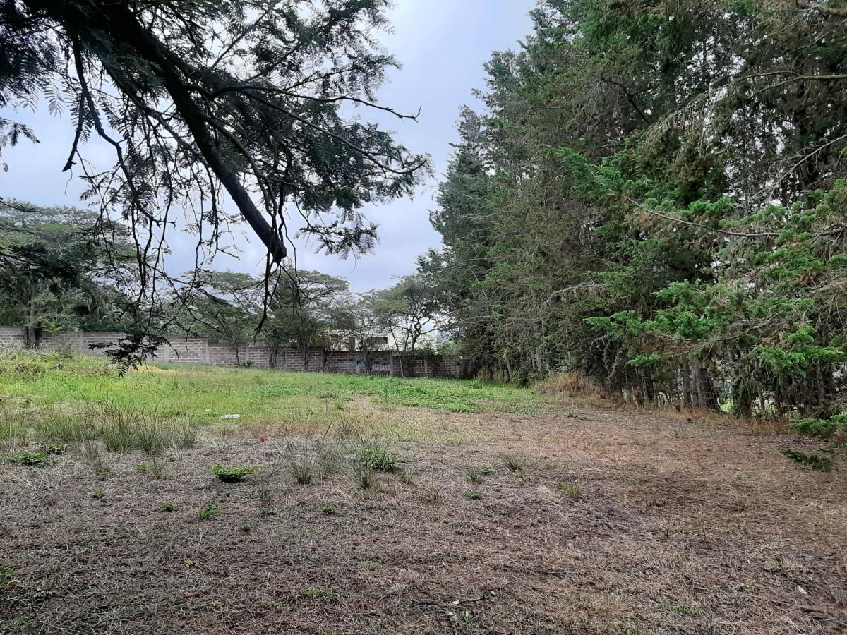 480 m² Vendo Lote Plano de Terreno en Excelente Urbanizacion — imagen 6