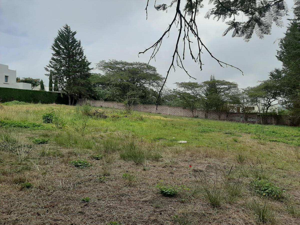 480 m² Vendo Lote Plano de Terreno en Excelente Urbanizacion — imagen 4