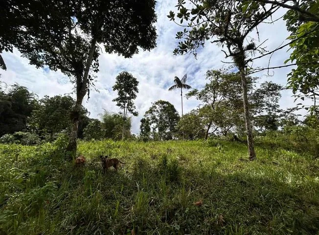 Terreno en venta en Pedro Vicente Maldonado — imagen 1