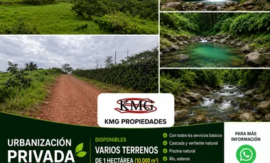 Terreno en venta en Pedro Vicente Maldonado — imagen 5