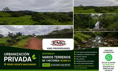 Terreno en venta en Pedro Vicente Maldonado — imagen 4