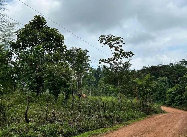 Terreno en venta en Pedro Vicente Maldonado — imagen 2
