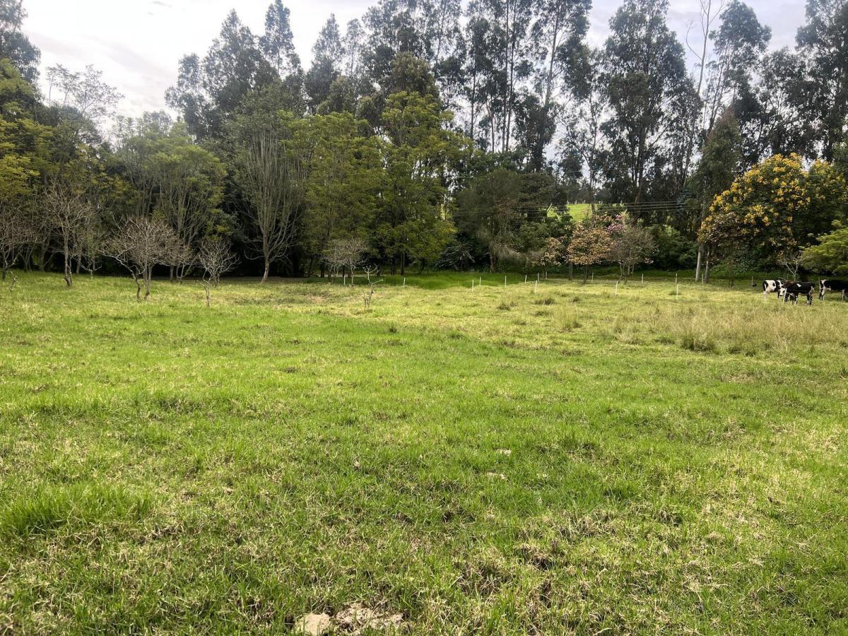 Quitoterreno en Venta Los Chillos Sector Club Los Cerros — imagen 10