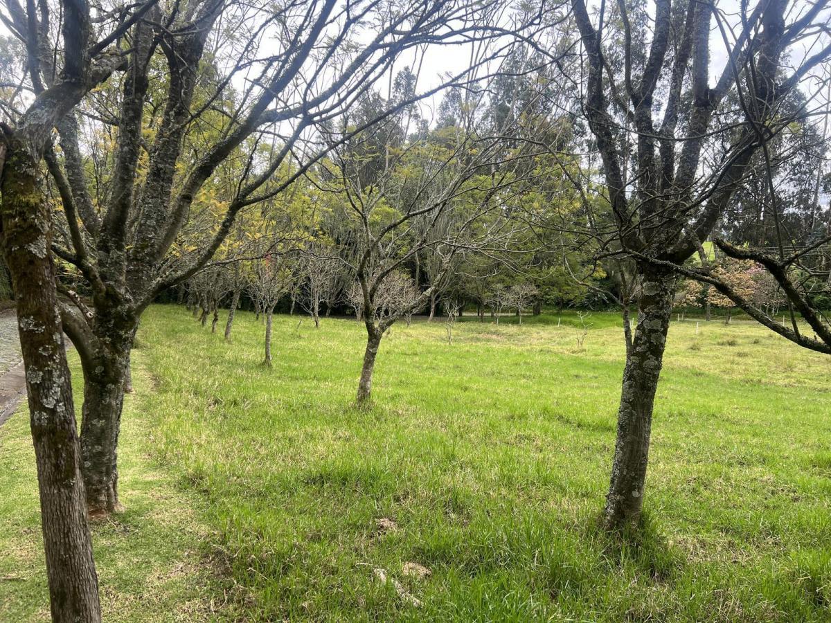 Quitoterreno en Venta Los Chillos Sector Club Los Cerros — imagen 9
