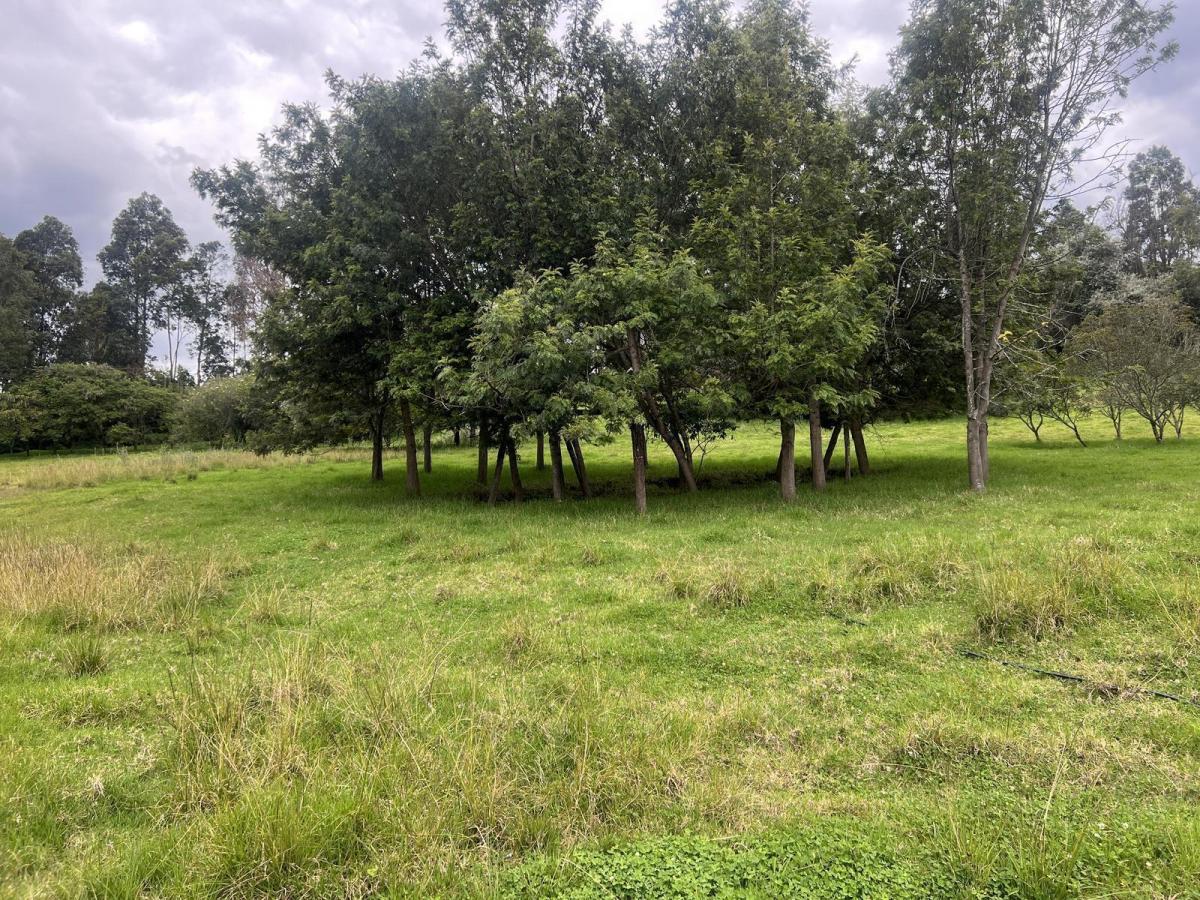 Quitoterreno en Venta Los Chillos Sector Club Los Cerros — imagen 8