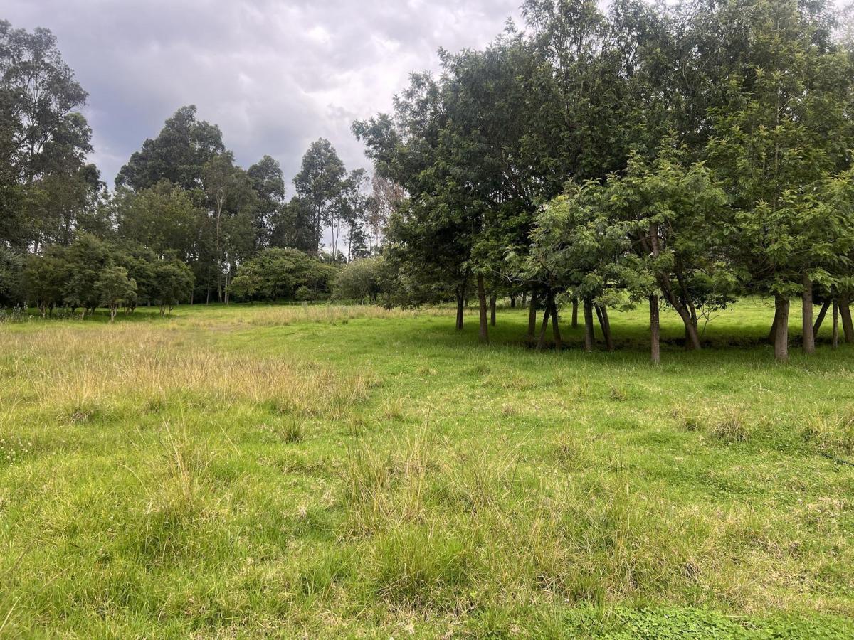 Quitoterreno en Venta Los Chillos Sector Club Los Cerros — imagen 7
