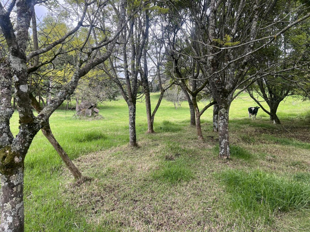 Quitoterreno en Venta Los Chillos Sector Club Los Cerros — imagen 6