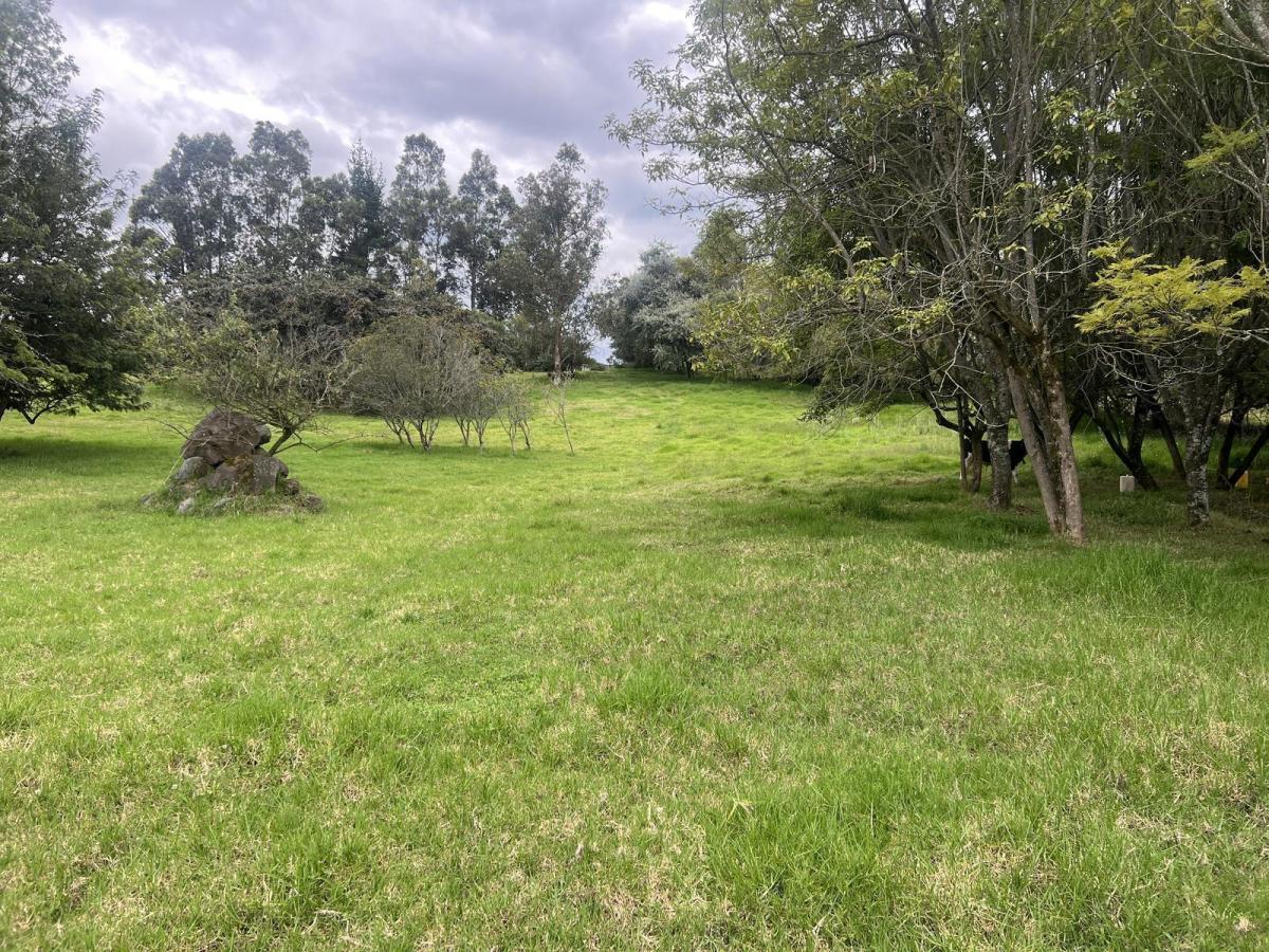 Quitoterreno en Venta Los Chillos Sector Club Los Cerros — imagen 2