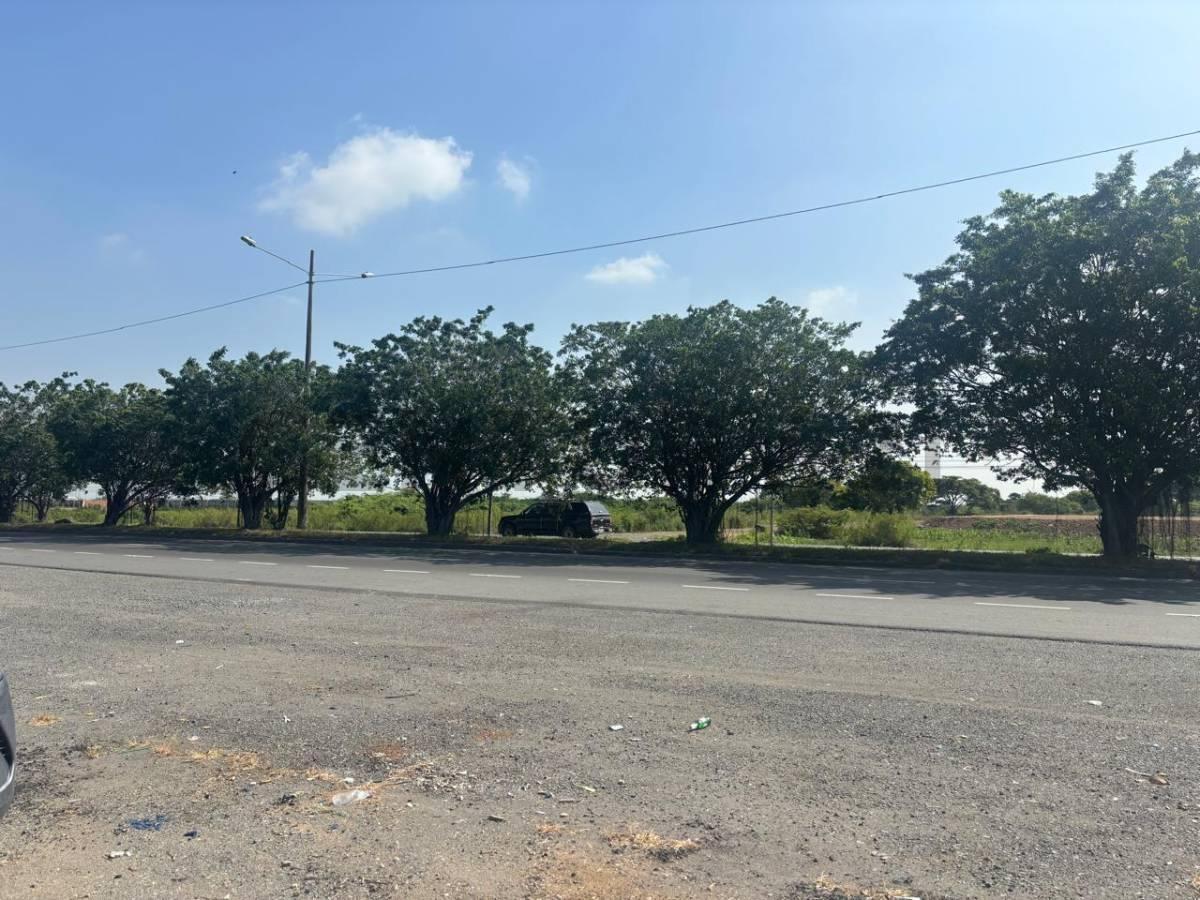 Venta Terreno Industrial – Km 7,5 Vía Durán–boliche. m. A. Guayas — imagen 6