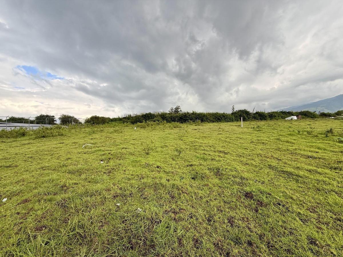 Terreno en Venta 1.934 m² Para Desarrollo Residencial o Inversión - Sector El Bergel Bajo, Tababela — imagen 5