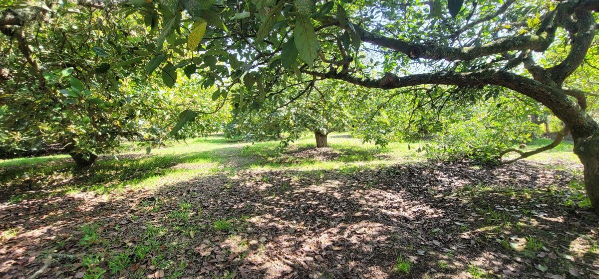 Terreno de Venta en Guayllabamba Dentro de Urbanización — imagen 10
