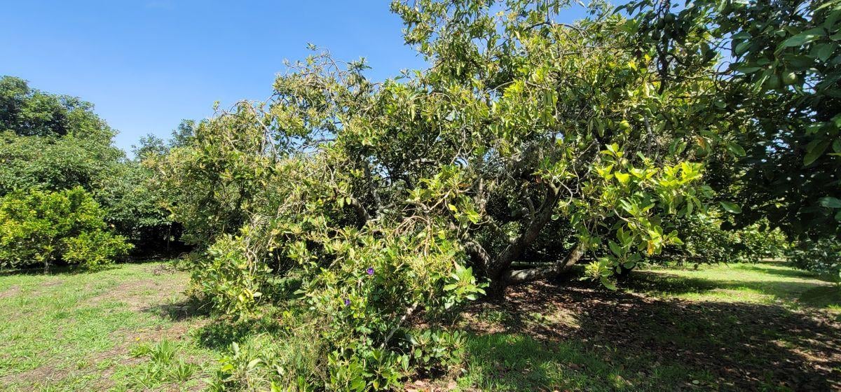 Terreno de Venta en Guayllabamba Dentro de Urbanización — imagen 9
