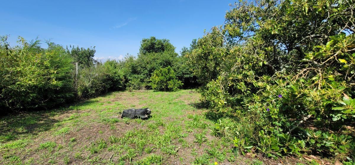 Terreno de Venta en Guayllabamba Dentro de Urbanización — imagen 7